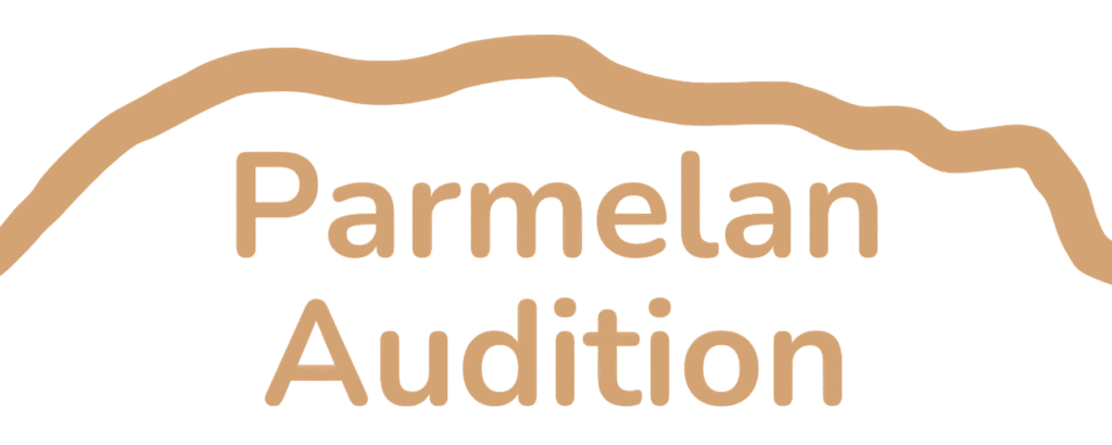 Parmelan audition photoroom